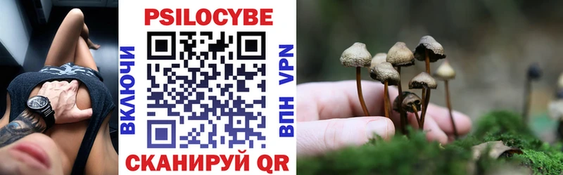 Галлюциногенные грибы Psilocybine cubensis Электросталь